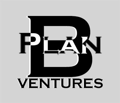 Plan B Ventures Ltd